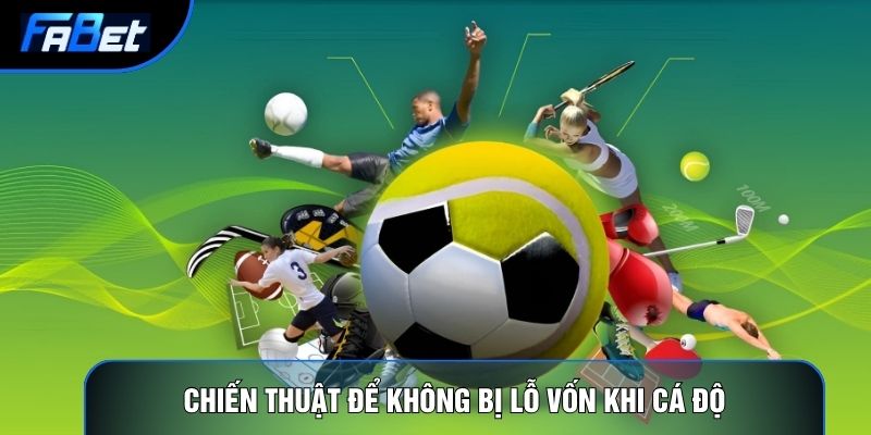 Thể Thao Fabet: Phân Tích Định Lượng Và Thuật Toán Tỷ Lệ