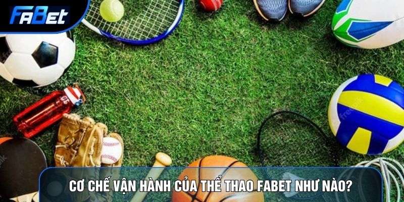 Thể Thao Fabet: Phân Tích Định Lượng Và Thuật Toán Tỷ Lệ