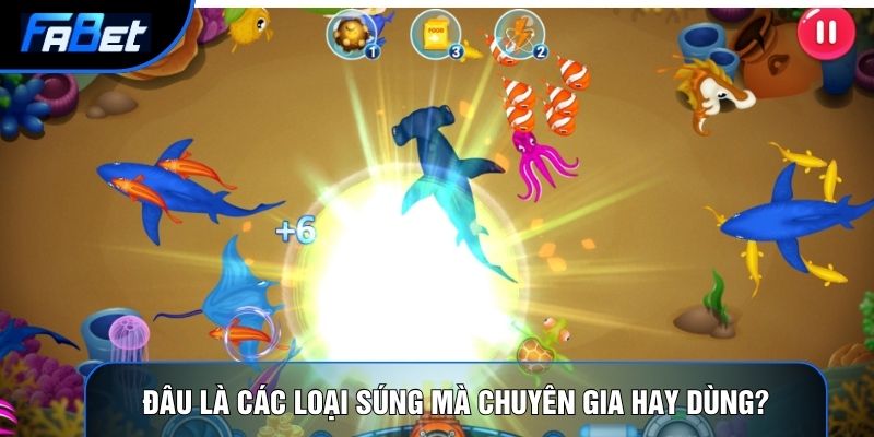 Các Loại Súng Bắn Cá: Vật Lý Vũ Khí Và Cơ Học Chất Lưu