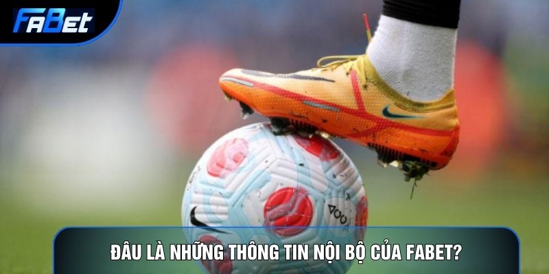 Tỷ Lệ Kèo Fabet: Cấu Trúc Vi Mô Và Bất Đối Xứng Thông Tin
