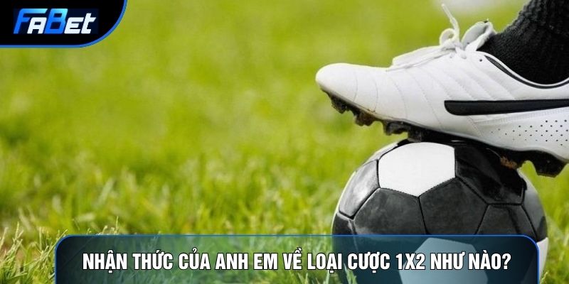 Kèo Châu Âu Fabet: Tài Chính Hành Vi Và Phân Tích Tâm Lý