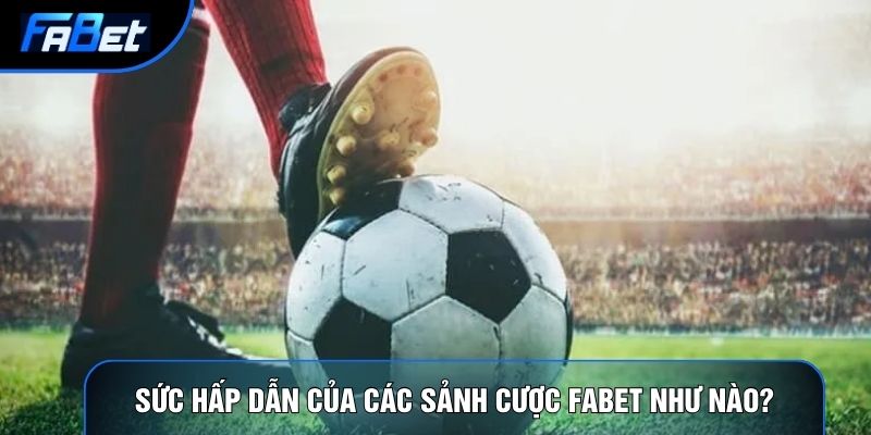 Cá Độ Bóng Đá Fabet: Giới Thiệu Sân Chơi Thể Thao Đỉnh Cao