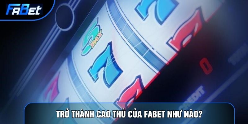 5 Chú Sư Tử Megaways: Chiến Thuật Nổ Hũ Và Phân Tích Thuật Toán
